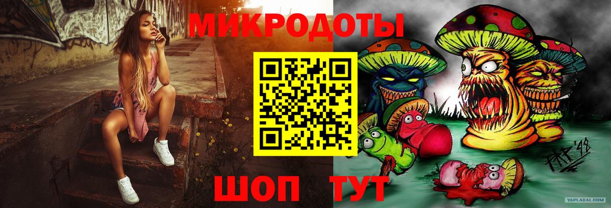 Псилоцибиновые грибы Psilocybine cubensis Сыктывкар