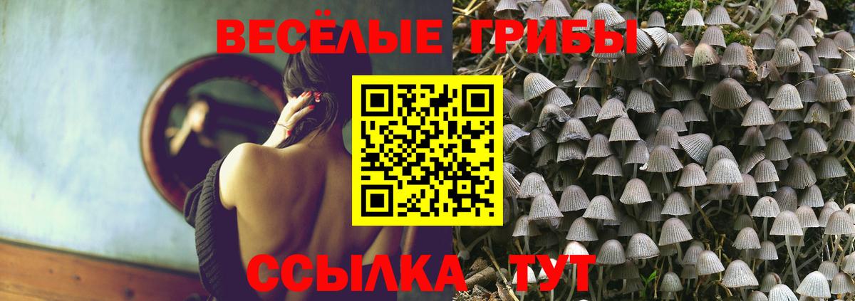 Псилоцибиновые грибы GOLDEN TEACHER  Вход с VPN  сколько стоит  Сыктывкар  Галлюциногенные грибы мицелий 